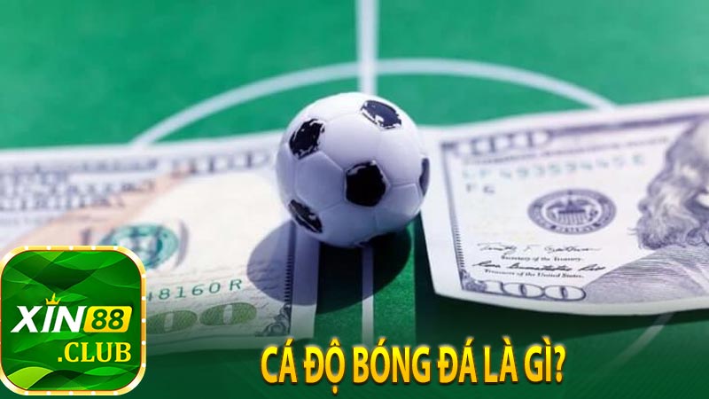 Cá độ bóng đá là gì?