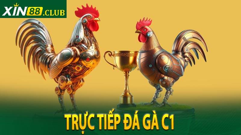 Trực Tiếp Đá Gà C1